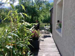 eine Veranda mit Pflanzen, einem Tisch und Stühlen in der Unterkunft Hôtel Restaurant Le Martagon in Villars-Colmars