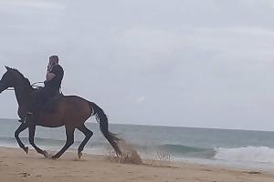 a person riding a horse on the beach at Barbethuijs in Jeffreys Bay