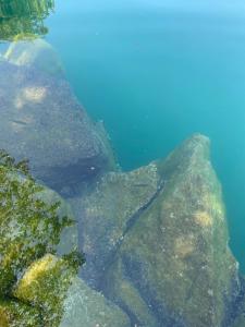 Φωτογραφία από το άλμπουμ του Готель Зелений Клин σε Gubnik