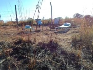 a group of chairs sitting in a field at KGOLA SAFARIS in Rosslyn