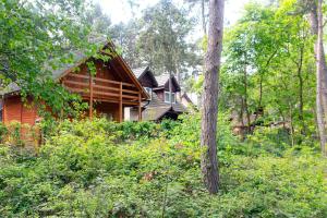 a wooden house in the woods with trees at O.W.Sztil in Pobierowo