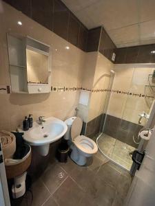 een badkamer met een toilet, een wastafel en een douche bij Лятно студио in Sveti Vlas