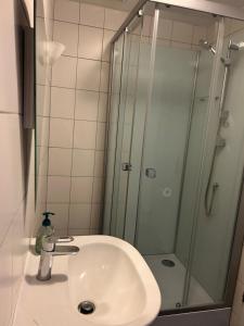 a bathroom with a sink and a shower at Studio Inferno Lauterbrunnen in Lauterbrunnen