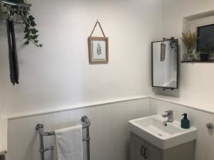 een badkamer met een wastafel en een spiegel bij The Nest, Central Falmouth, 10 mins to the beaches and off street parking in Falmouth