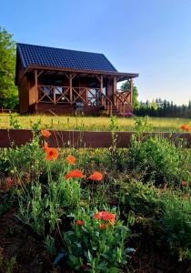En have udenfor Domki Na Wzgórzu - domek nr 1
