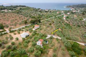 Táj Show holiday homes közelében