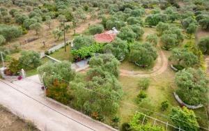 Táj Show holiday homes közelében