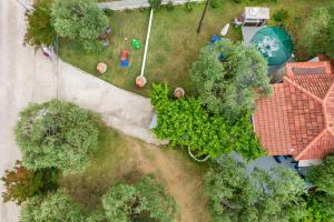 Táj Show holiday homes közelében