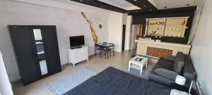 a living room with a couch and a television at APARTMAN ART in Zvezdara