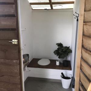 a bathroom with a toilet and a plant on a table at Glempings Jaunsaimnieki in Līgatne