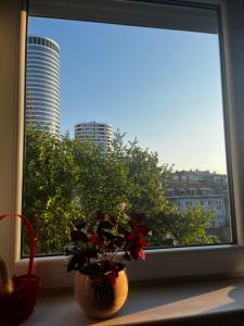 Fotografie z fotogalerie ubytování Apartman Sasha 1 - Ask for free parking v destinaci Sajmište
