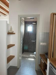 a bathroom with a walk in shower and a toilet at Arhodiko Studios in Astypalaia