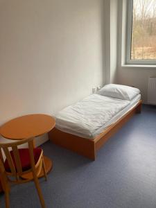 Posteľ alebo postele v izbe v ubytovaní Ubytování Janovice nad Úhlavou, Rozvojová zóna 186