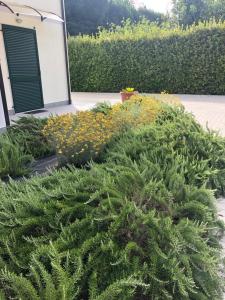 Zahrada ubytování RTA La Pineta