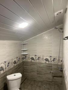 een badkamer met een toilet en een douche bij NUR TOON in Areni