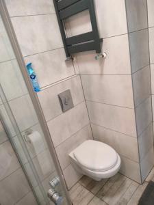 a small bathroom with a toilet and a shower at Hostel 11 in Kozienice