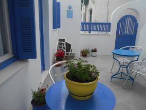 a blue table and a yellow pot on a table with plants at Pension Barbara in Katapola