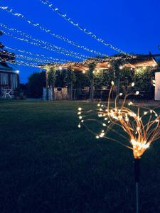 un arbre avec des lumières dans une cour la nuit dans l'établissement B&B Villa degli Angeli, à Bernalda
