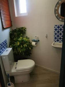 een badkamer met een toilet en een potplant bij Jolie Maison au coeur du village in Saint-Mandrier-sur-Mer