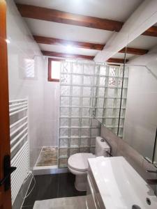 La salle de bains est pourvue de toilettes blanches et d'un lavabo. dans l'établissement Jolie Maison au coeur du village, à Saint-Mandrier-sur-Mer