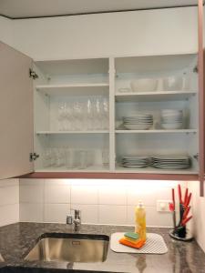 Kuchyň nebo kuchyňský kout v ubytování Alpenglück Apartment - Aare Jungfrau AG + 13 fotografií