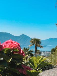 a garden with flowers and a view of the ocean at Case di Sotto, House & Breakfast in Locarno