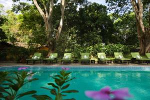 un grupo de sillas y una piscina en Rivertrees Country Inn, en Usa River