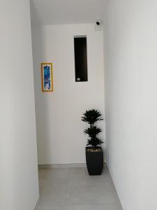 Fotografie z fotogalerie ubytování Strada del mare v destinaci Veglie