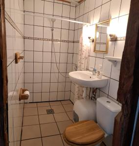 a small bathroom with a toilet and a sink at Śródziemie Lorien in Leśno