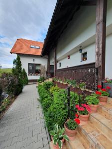 une terrasse avec des plantes en pot et une maison dans l'établissement Casa Cu Pridvor, à Băile Felix
