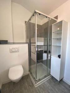 uma casa de banho com uma cabina de duche em vidro e um WC. em Loft and Studio and Love Room em Bourg-Saint-Christophe