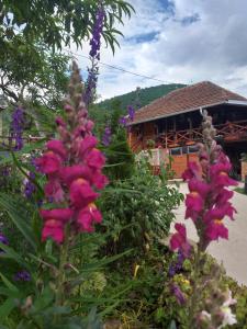 Un mazzo di fiori viola davanti a un edificio. di Seosko turističko domaćinstvo Stanišić a Kalna