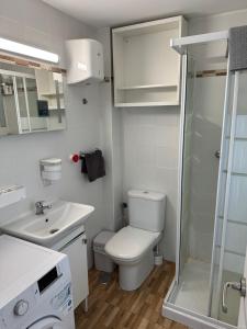 une salle de bains avec toilettes, lavabo et douche dans l'établissement Casa Sur H1, à Cordoue 20 autres photos