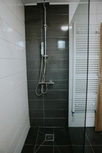 a bathroom with a shower with a glass door at Apartman Nikola in Gospić