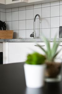 a kitchen counter with a sink and a potted plant at Lions Apartments - Erholung und Vergnügen in Bad Tatzmannsdorf in Jormannsdorf