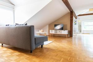 ein Wohnzimmer mit einem Sofa und einem TV in der Unterkunft Lions Apartments - Erholung und Vergnügen in Bad Tatzmannsdorf in Jormannsdorf