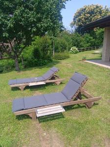 twee ligstoelen op het gras in een tuin bij Villetta in collina Casa Calmàs in Brione