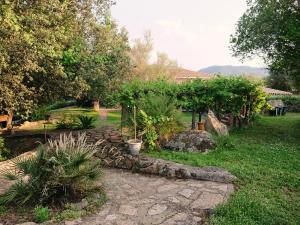 a garden with some plants and a stone path at Agriturismo Desole in Monti +35 photos