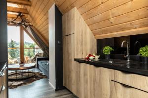 Kuchnia lub aneks kuchenny w obiekcie udanypobyt Apartament Sky SPA