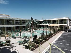 Bazén v ubytování Caribbean Motel nebo v jeho okolí