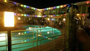 Bazén v ubytování Caribbean Motel nebo v jeho okolí