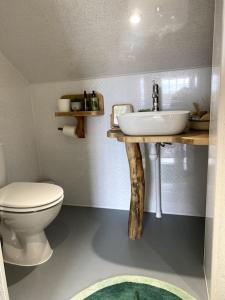 a bathroom with a white toilet and a sink at The Little Grebe in Swansea