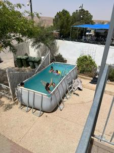 un groupe de personnes jouant dans une piscine dans l'établissement Desert Sunrise Arad, à Arad