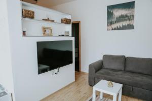 a living room with a couch and a flat screen tv at Apartman Nikola in Gospić