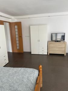 TV a/nebo společenská místnost v ubytování Apartament Dzierzecin