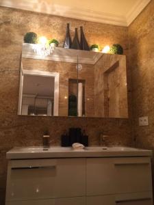 ein Bad mit einem Waschbecken und einem Spiegel in der Unterkunft Appartement Belle Feuille in Boulogne-Billancourt