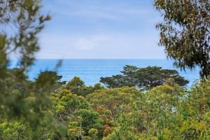 a view of the ocean from a forest of trees at Seaview Treehouse - three minute walk to the beach in Lorne
