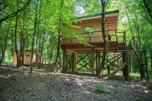 a tree house in the middle of the woods at Living Forest Resort in Moravske-Toplice
