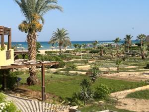 uma vista para um parque com palmeiras e o oceano em A sea view spacious cheering 5 bedroom villa Ain Sokhna "Ain Bay" فيلا كاملة للإيجار قرية العين باي em Ain Sokhna