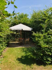 una mesa y una silla bajo una sombrilla en un patio en Een klein appartementje zonder keuken in het centrum Sleep at Hamtingh's, en Hilvarenbeek